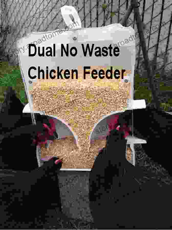 A Bag Of Chicken Feed And A Chicken Eating From A Feeder BACKYARD CHICKENS: A Complete Step By Step Practical Guide On Raising Chickens Successfully