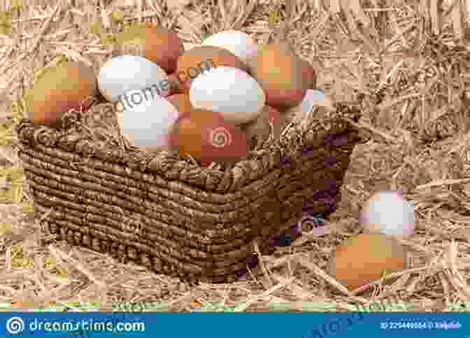 A Basket Full Of Freshly Collected Eggs BACKYARD CHICKENS: A Complete Step By Step Practical Guide On Raising Chickens Successfully