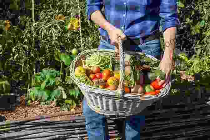 A Bountiful Harvest Of Fresh, Ripe Vegetables Picked Straight From A Backyard Garden. Mama S Vegetable Garden Mallory Turner