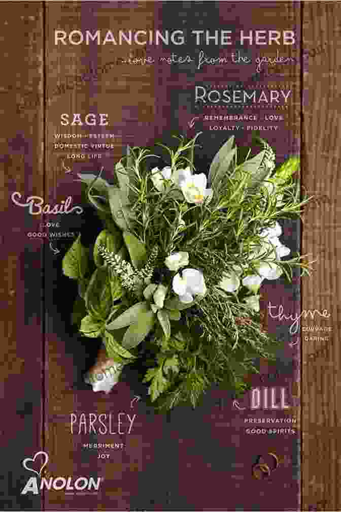 A Bouquet Of Scottish Herbs Scottish Herbs And Fairy Lore