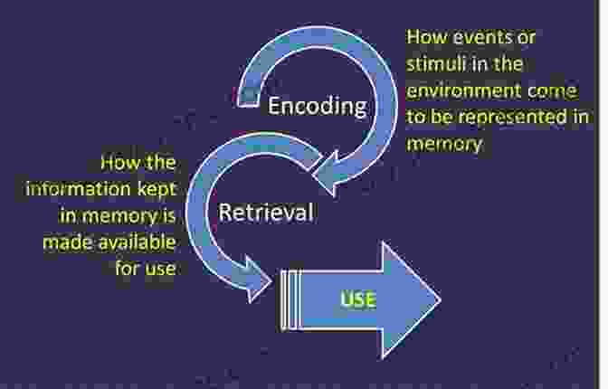 A Diagram Illustrating The Complexity Of Trauma Memory, Including The Processes Of Encoding, Storage, Retrieval, And Distortion. Trauma Memory And Law: Enhanced Lectures On Repressed Memories Memory Distortions And Trauma