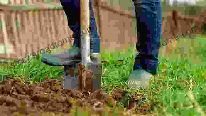 A Gardener Digging A Hole For A Rose Plant, Carefully Preparing The Soil And Following Proper Planting Techniques. Roses: An Inspirational Guide To Choosing And Growing The Best Roses