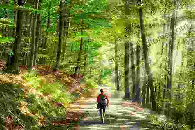 A Man And Woman Walking In Nature, Surrounded By Trees And Greenery The Magic Of Walking: An Extremely Underrated Form Of Exercise