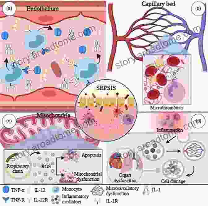 A Microscope Image Of Immune Cells And Inflammatory Mediators Medical Dialectics: Immunity And Inflammation (The Human Heard)