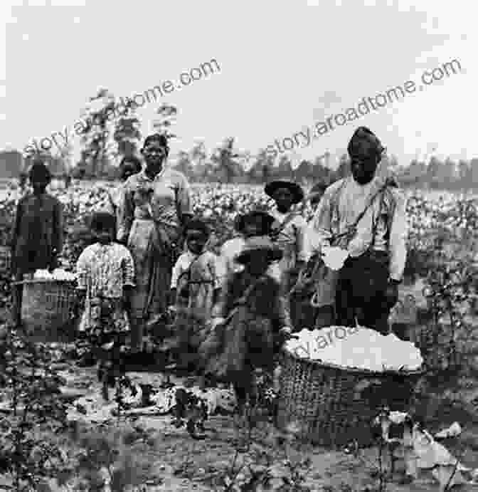 A Photograph Of A Former Slave Plantation In The American South. Trace: Memory History Race And The American Landscape