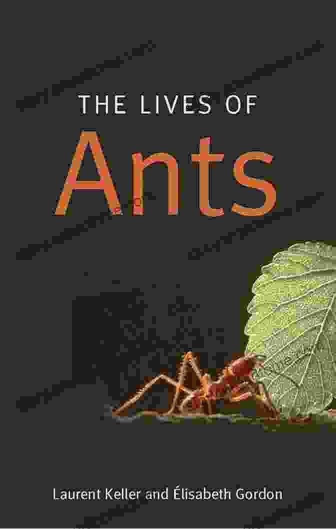 A Portrait Of Laurent Keller, Author Of 'The Lives Of Ants' The Lives Of Ants Laurent Keller