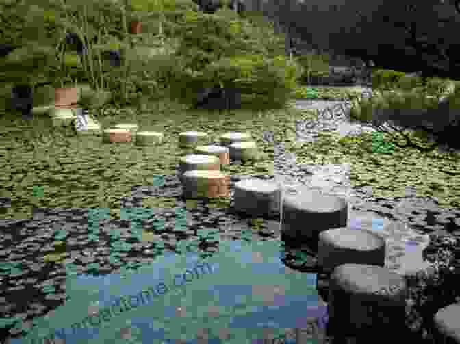 A Serene Japanese Garden With A Tranquil Pond And Lush Greenery Japanese Tokyo Scenery Part 11: Tokyo Landscape