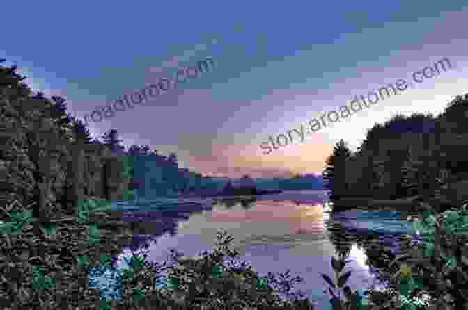 A Serene View Of Pinery Provincial Park, With Towering Trees Reflecting In The Tranquil Waters Of A Lake. The Lake Erie Shore: Ontario S Forgotten South Coast