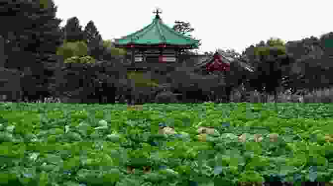 A Tranquil Scene From Ueno Park, Featuring A Pond With Blooming Lotus Flowers And The Iconic Ueno Toshogu Shrine In The Background. Japanese Tokyo Scenery Part 13: Tokyo Landscape