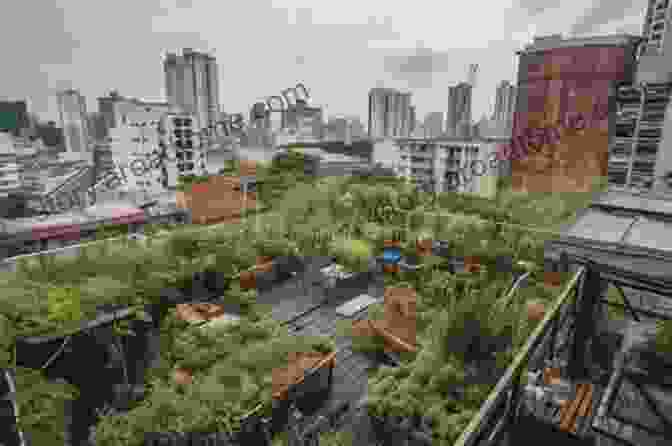 A Verdant Rooftop Garden In A Bustling City, Representing The Integration Of Sustainability Into Urban Development. Affordable Housing In New York: The People Places And Policies That Transformed A City