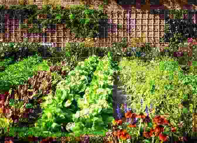 A Vibrant Organic Vegetable Garden Teeming With Lush Greenery And Colorful Produce. Mama S Vegetable Garden Mallory Turner