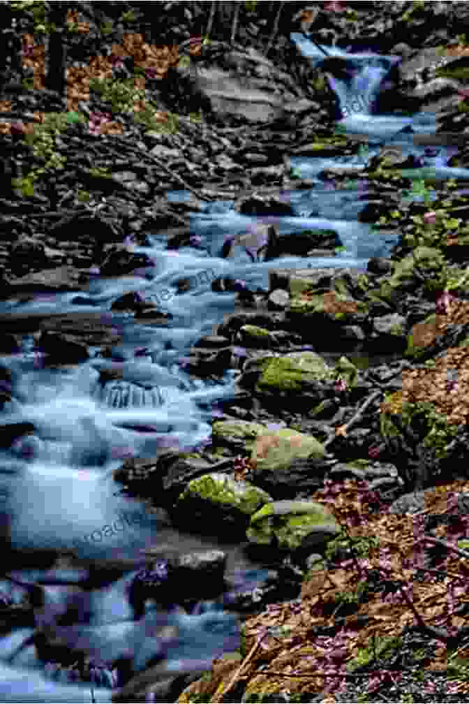 A Woman Sits On A Rock By A Babbling Brook, Her Eyes Closed And Her Face Turned Towards The Sun. The Forest Around Her Is Lush And Green. Eanthe A Tale Of The Druids And Other Poems