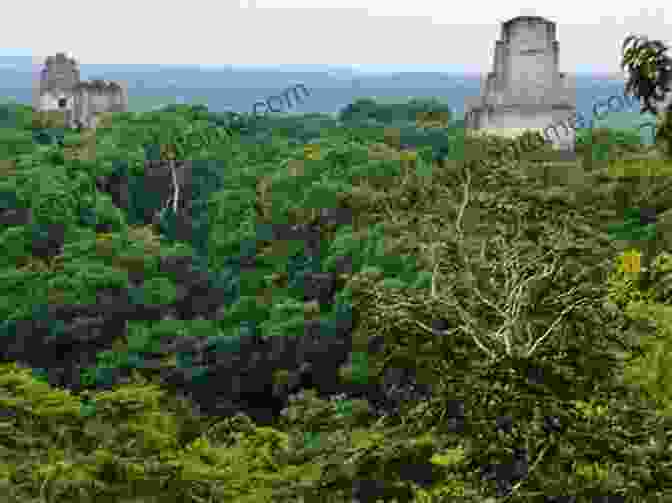 Ancient Mayan Ruins Enveloped By The Lush Rainforest, Showcasing Their Timeless Knowledge Hope Dancing: Finding Purpose And A Place To Serve Among The Maya