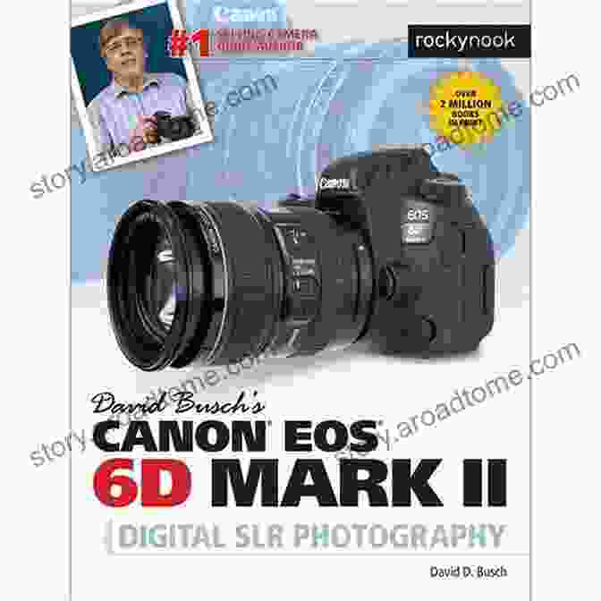 Beautiful Portrait Photograph David Busch S Canon EOS 6D Mark II Guide To Digital SLR Photography (The David Busch Camera Guide Series)