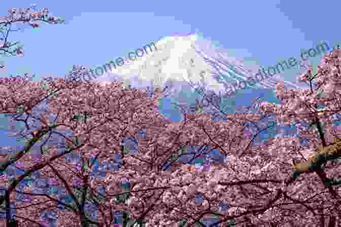 Blossoming Cherry Trees Journey To Discover Japan Compilation 1: Japan Landscape