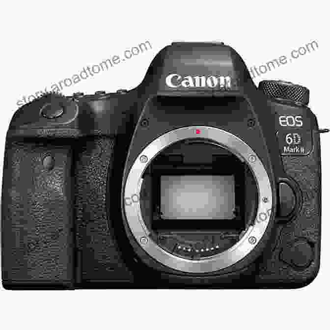 Canon EOS 6D Mark II Camera David Busch S Canon EOS 6D Mark II Guide To Digital SLR Photography (The David Busch Camera Guide Series)