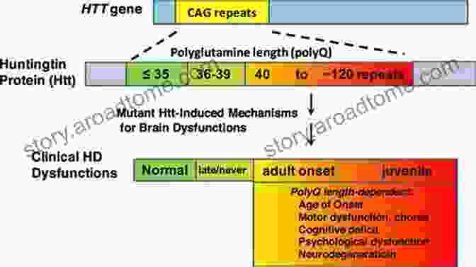 Clinical Manifestations Of Triple Repeat Diseases Triple Repeat Diseases Of The Nervous Systems (Advances In Experimental Medicine And Biology 516)