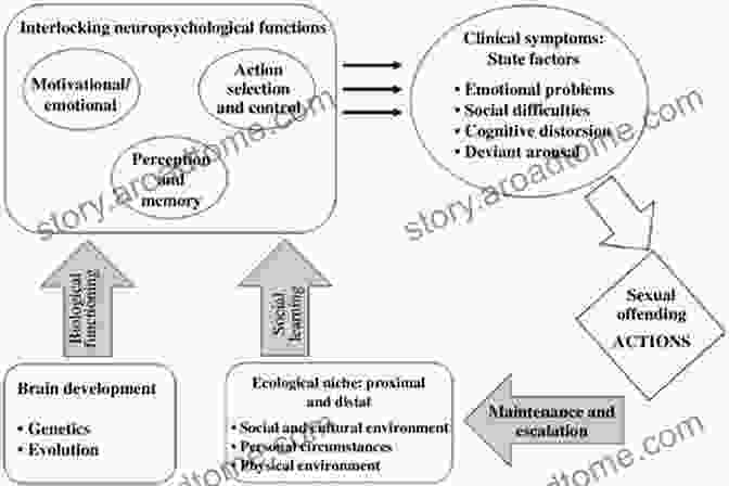 Cognitive Distortions And Emotional Dysregulation In Psychological Theories Of Sexual Offending Theories Of Sexual Offending (Wiley In Forensic Clinical Psychology 21)