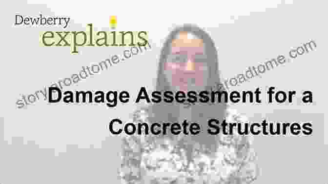 Damage Assessment In Complex Structures Proceedings Of The 13th International Conference On Damage Assessment Of Structures: DAMAS 2024 9 10 July 2024 Porto Portugal (Lecture Notes In Mechanical Engineering)