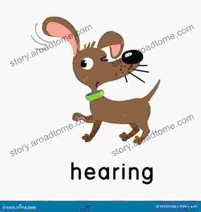 Dog With Acute Hearing I Like Big Mutts And I Cannot Lie : Fun Facts About Man S Best Friend