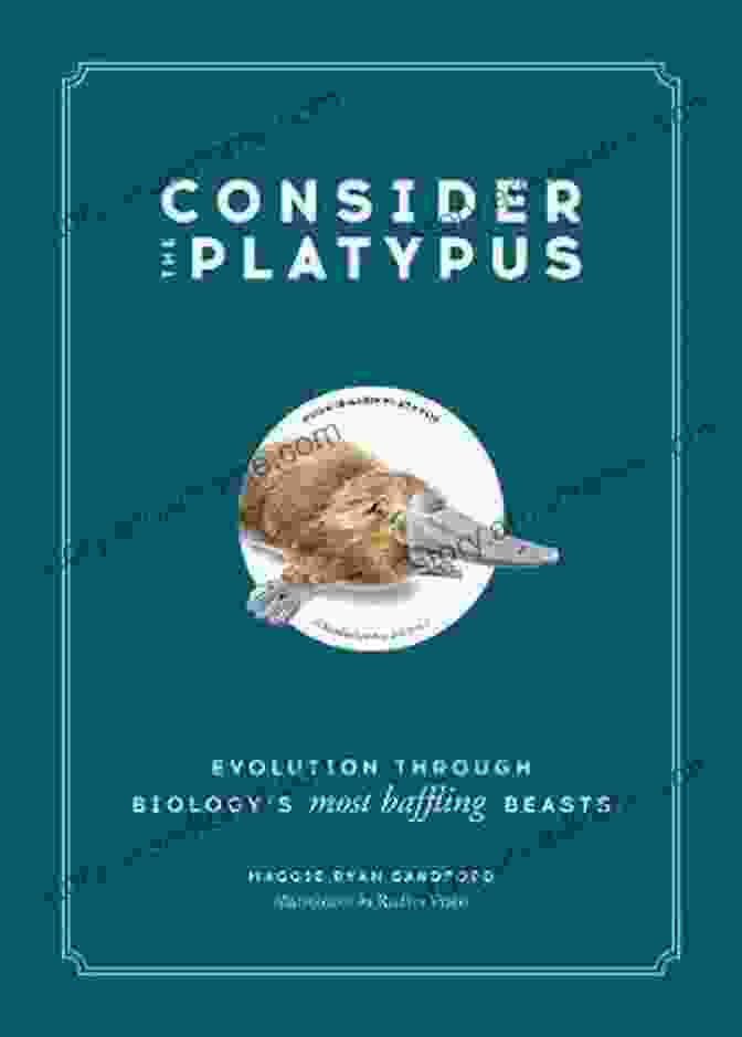 Evolution Through Biology: Most Baffling Beasts Book Cover Consider The Platypus: Evolution Through Biology S Most Baffling Beasts