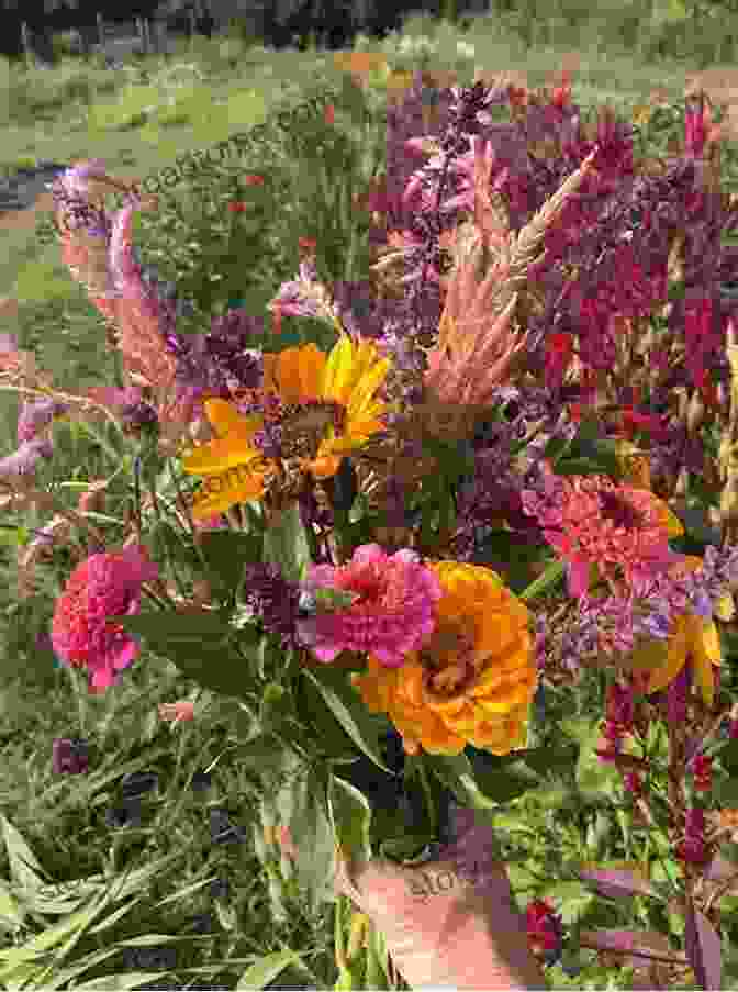 Farmer Harvesting Cut Flowers From Field The Flower Farmer: An Organic Grower S Guide To Raising And Selling Cut Flowers (Gardener S Supply Books)