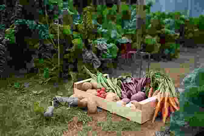 Image Of A Lush Organic Garden With Healthy Vegetables And Fruits Grow Your Own Organic Food: How To Easily Grow An Abundant Garden Of Fresh Fruit Vegetables And Herbs In Small Spaces: A Green Thumbs Guide To An Organic Food Producing Garden