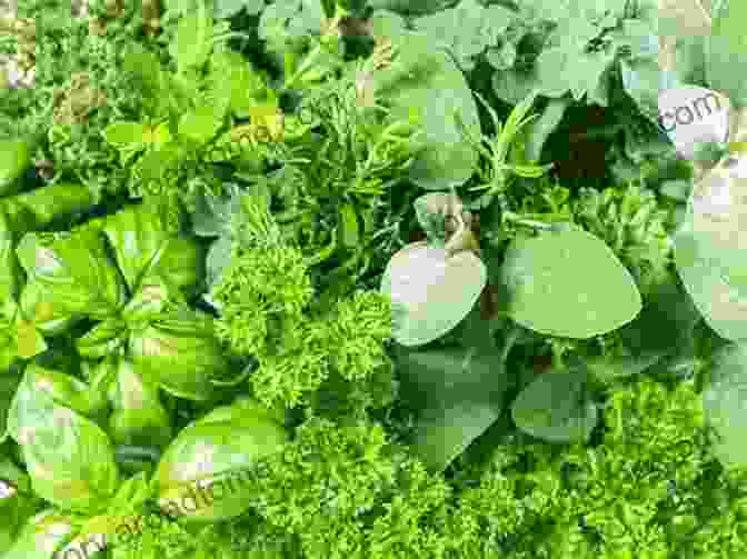 Image Of A Variety Of Fresh Herbs Paddle Your Own Canoe: One Man S Fundamentals For Delicious Living