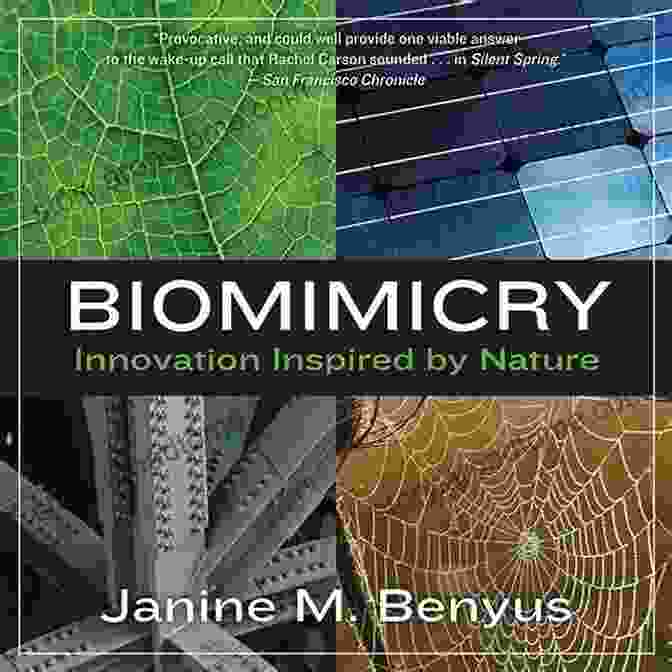 Innovation Inspired By Nature: Biomimicry In Design Recent Trends In Design Materials And Manufacturing: Selected Proceedings Of ICRADMM 2024 (Lecture Notes In Mechanical Engineering)