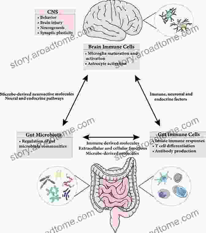 Microbial Influence On Health The Potbelly Syndrome: How Common Germs Cause Obesity Diabetes And Heart Disease