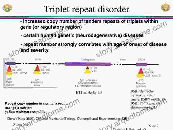 Molecular Biology Of Triple Repeat Diseases Triple Repeat Diseases Of The Nervous Systems (Advances In Experimental Medicine And Biology 516)