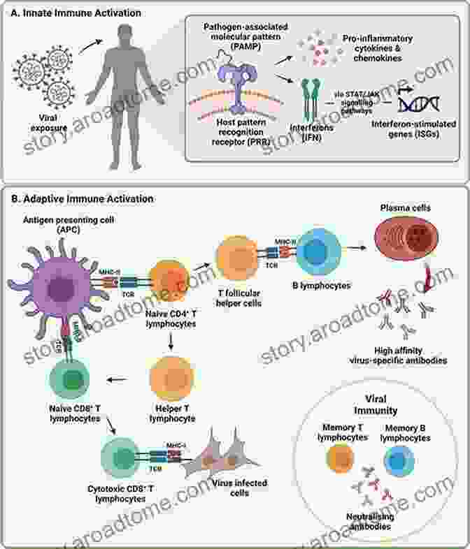 Molecular Structure Of An Infectious Agent, Highlighting Its Potential Role In Triggering An Autoimmune Response Molecular Mimicry: Infection Inducing Autoimmune Disease (Current Topics In Microbiology And Immunology 296)