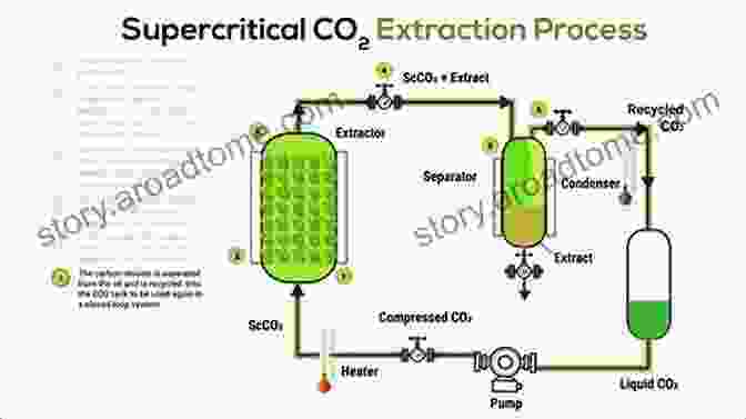 Natural Extracts From Supercritical Carbon Dioxide Extraction Natural Extracts Using Supercritical Carbon Dioxide