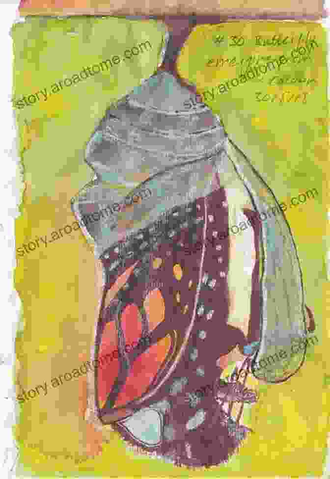 Painting Of A Woman Emerging From A Chrysalis Drawing From Within: Using Art To Treat Eating DisFree Downloads