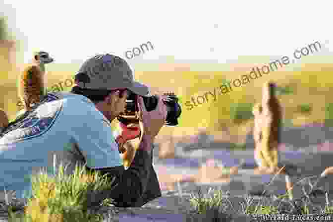 Photographer Capturing A Bird In The Wild The Wildlife Photography Workshop LUCKY BEAUTY