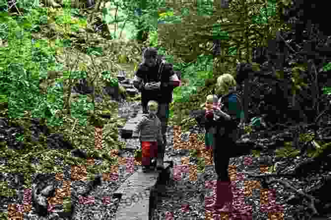 Sara And Teddy Exploring The Forest I Believe: It Is Fun Discovering The World Around Me Just Like Sara Carlo And Teddy The Curious Horses