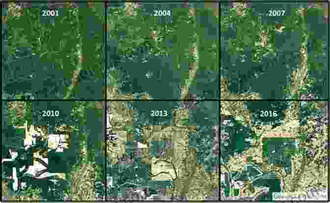 Satellite Image Of An Asian Coastline, Showing Areas Of Deforestation And Mangrove Conservation. Geospatial Technology For Environmental Hazards: Modeling And Management In Asian Countries (Advances In Geographic Information Science)