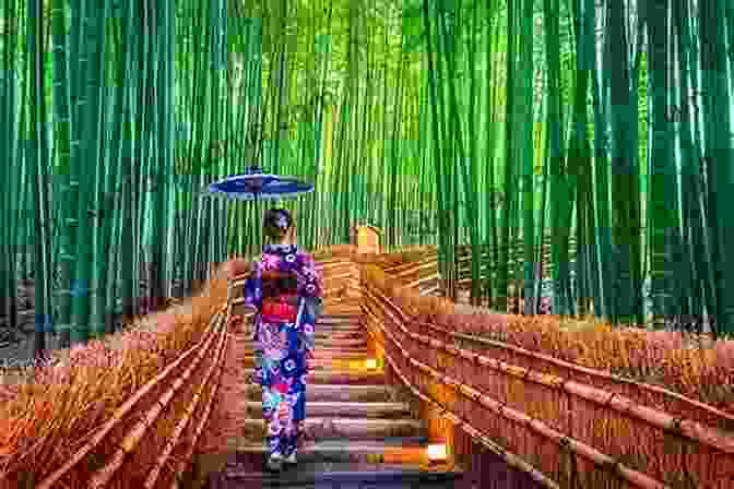 Serene Bamboo Forest Journey To Discover Japan Compilation 1: Japan Landscape