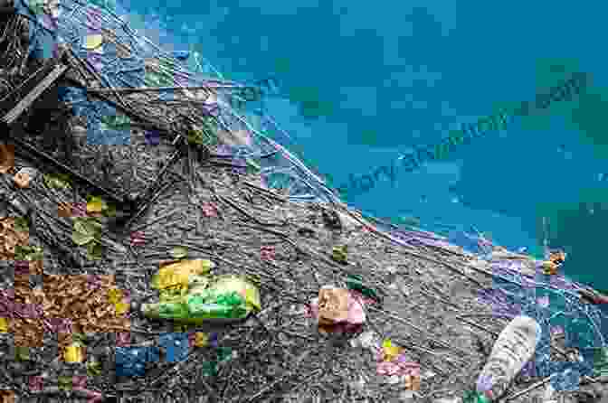 The Great Pacific Garbage Patch Great Pacific Garbage Patch: Science Nature