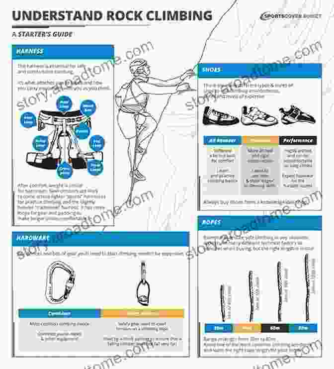 Understanding Essential Equipment And Techniques Monte Zucker S Portrait Photography Handbook