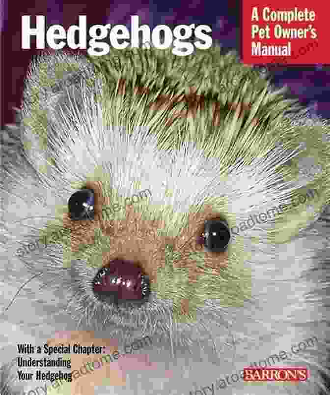 Up Up Up Down Little Hedgehog Book Cover Up Up Up Down Little Hedgehog