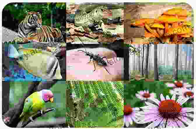 Vibrant Cover Image Showcasing Earth's Diverse Habitats Forest (My Early Library: My Guide To Earth S Habitats)