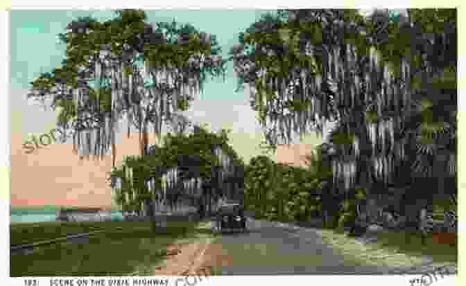 Vintage Postcard Image Of A Car On The Dixie Highway In The Early 20th Century Tennessee S Dixie Highway: Springfield To Chattanooga (Images Of America)