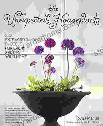 The Unexpected Houseplant: 220 Extraordinary Choices for Every Spot in Your Home