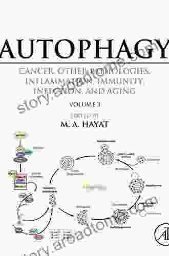 Autophagy: Cancer Other Pathologies Inflammation Immunity Infection And Aging: Volume 12