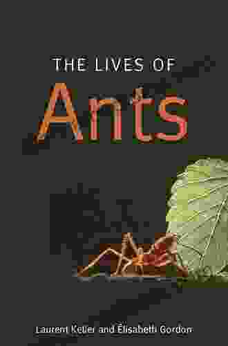The Lives Of Ants Laurent Keller
