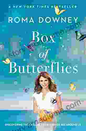 Box Of Butterflies: Discovering The Unexpected Blessings All Around Us