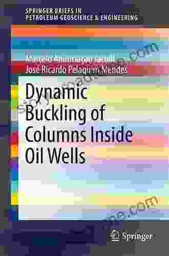 Dynamic Buckling of Columns Inside Oil Wells (SpringerBriefs in Petroleum Geoscience Engineering)