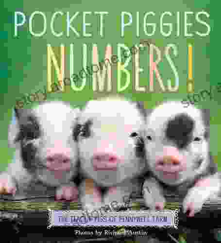 Pocket Piggies Numbers : Featuring The Teacup Pigs Of Pennywell Farm