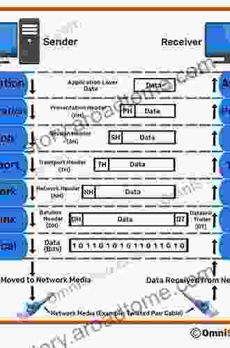 Local Networks And The Internet: From Protocols To Interconnection